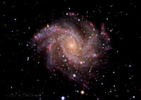 Fireworks Galaxy (NGC 6946)