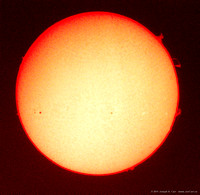 Solar Prominences & Sunspots 1263 & 1260