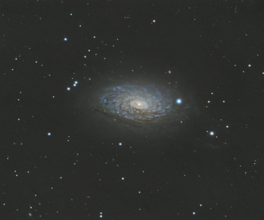The Sunflower Galaxy (M63) - First Process
