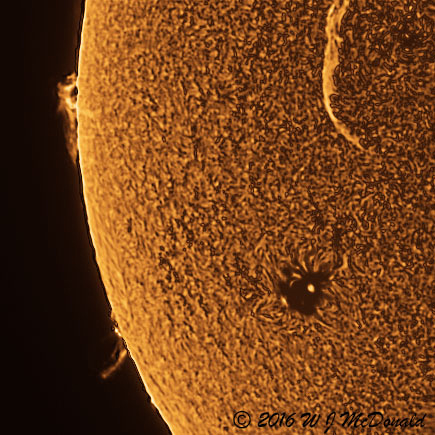 Two solar prominences