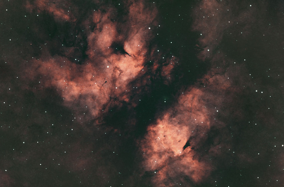 Nebula below Sadr