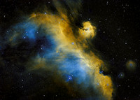 Seagull Nebula IC 2177