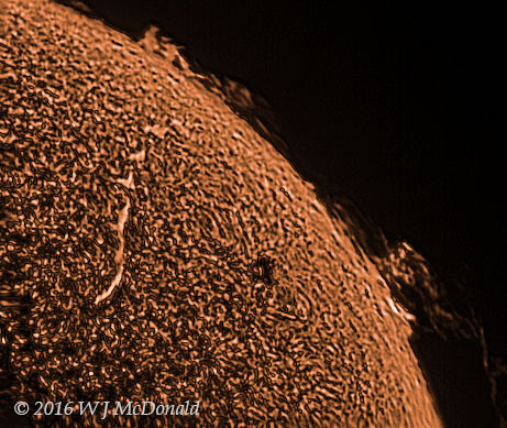 Solar surface and prominences