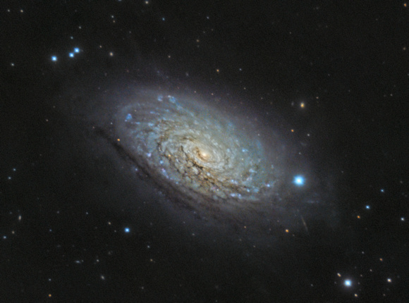 The Sunflower Galaxy - M63