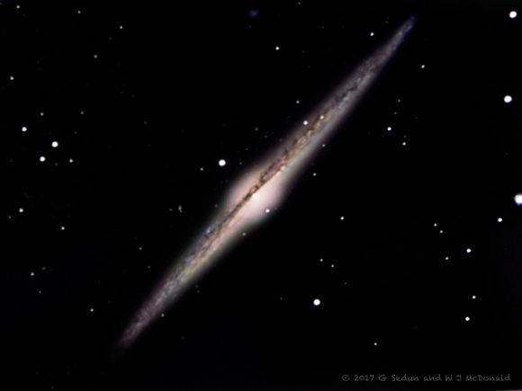 NGC 4565 - Needle