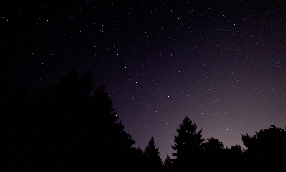 Night sky - looking north with a Perseid meteor close to the Pole Star (top right) and the Big Dipper (mid-frame) with Arcturus (left-frame in the treetops)