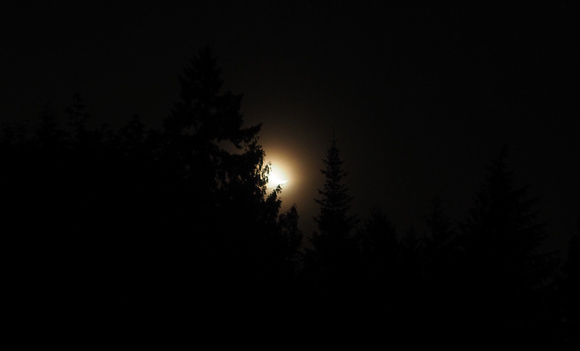4am Moonrise