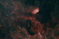 CYGNUS STAR CLOUD (TULIP NEBULA) SH2-101