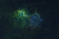 Lion Nebula SH2-132 (Dave Payne's data)
