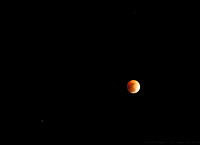 Lunar Eclipse - the Moon in conjuction with Saturn & Regulus