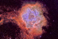 NGC2244 Rosette Nebula and Cluster