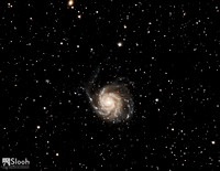 Pinwheel Galaxy M101