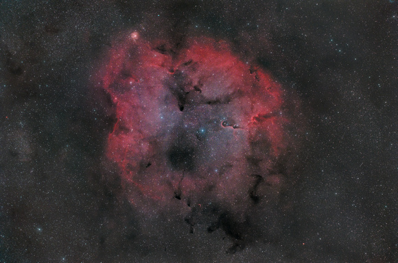 Elephant's Trunk Nebula (IC 1396)