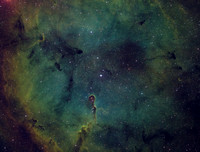 Elephant's Trunk Nebula in SHO