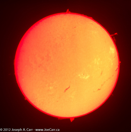 Solar prominences & sunspots in Ha