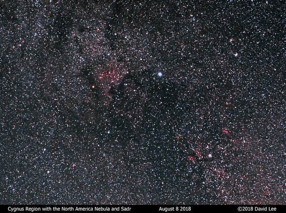 Cygnus Region with the North America Nebula and Sadr