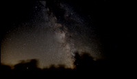 The Milky Way, southern horizon and Mars rising through the tree