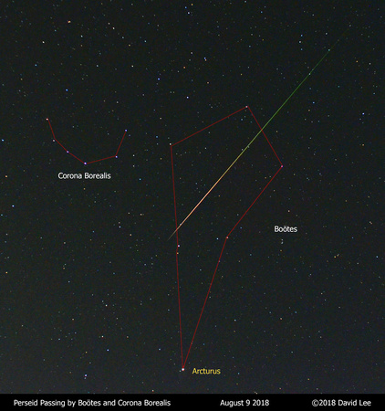 Perseid Passing by Bootes and Corona Borealis