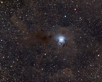 The Iris Nebula, NGC 7023