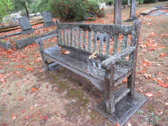 A very old lichen-homed memorial bench in the cemetery