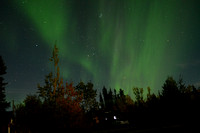 Aurora near Haines Junction, Yukon