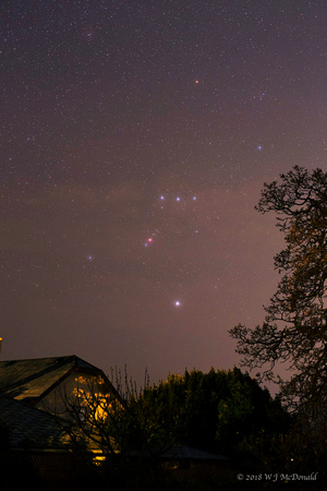 Early morning Orion