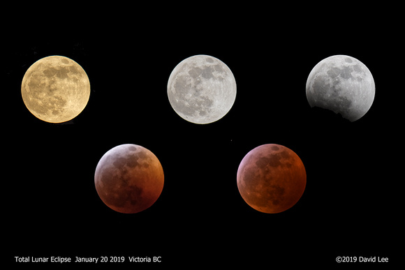 Total Lunar Eclipse January 20 2019