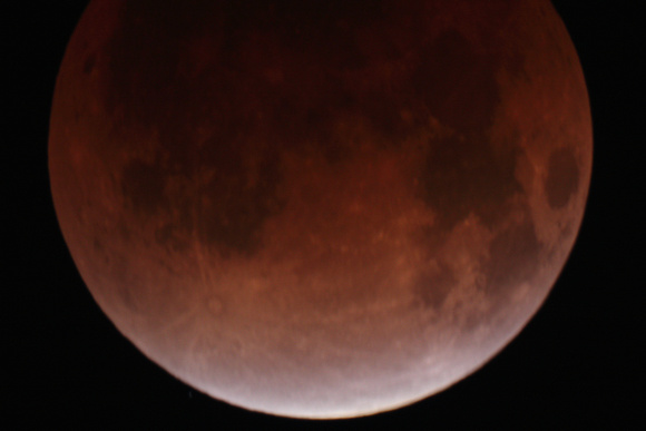 2011 Lunar Eclipse, from Clover Point with SCT8