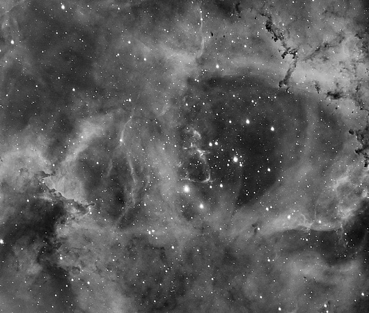 Rosette nebula in Ha