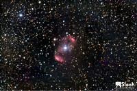 Unusual Nebula NGC 6164