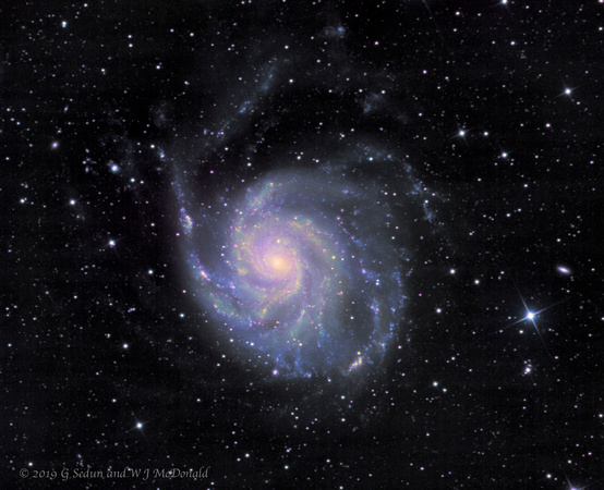 874-M101, the Pinwheel galaxy