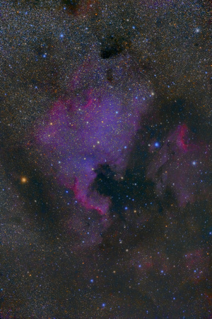 North America Nebula (NGC 7000)