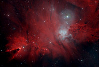 NGC 2264 The Christmas Tree Nebula
