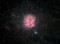 Cocoon Nebula, C19