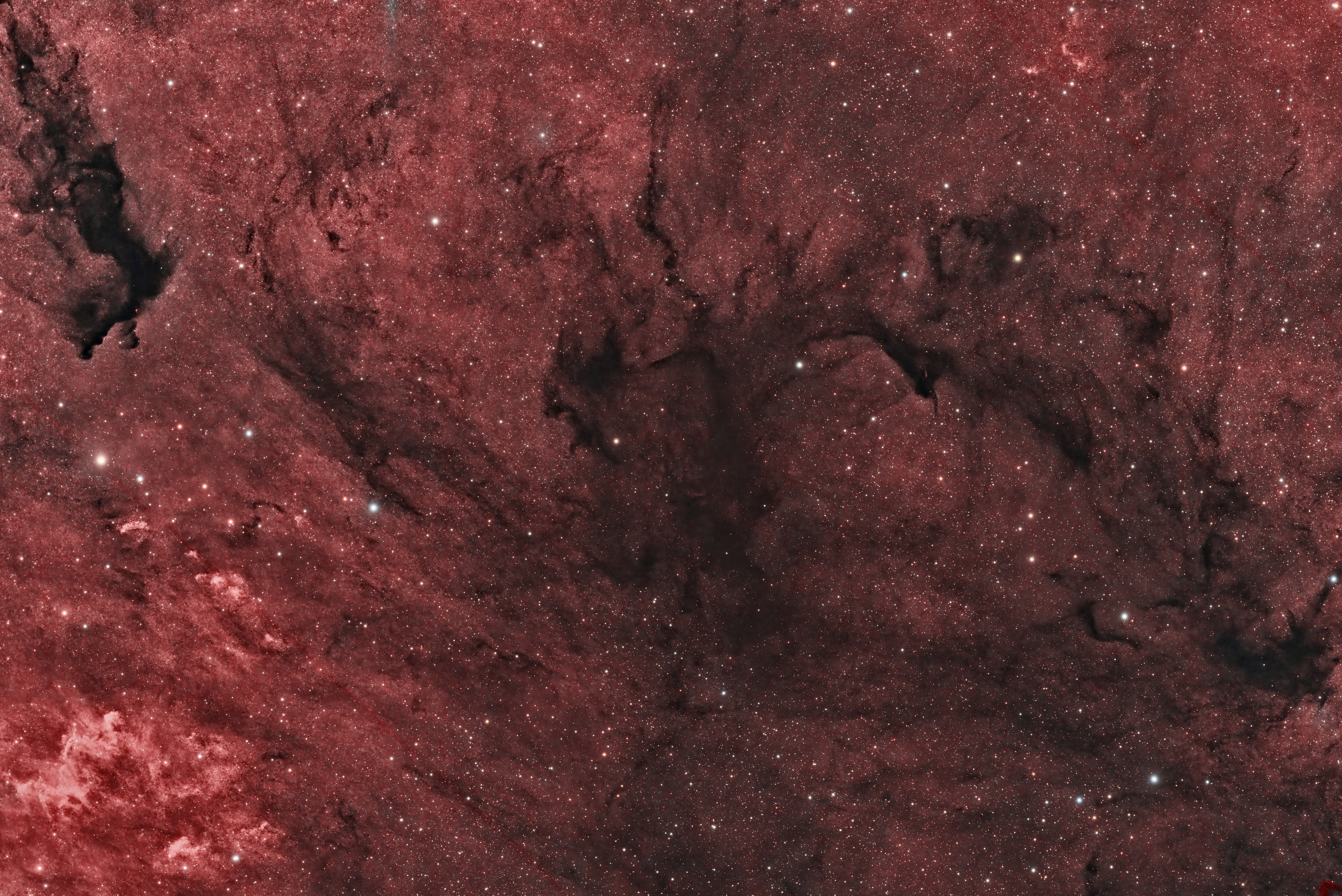 RASC Victoria Centre: Dave Payne &emdash; Molecular Cloud "Collapse": Barnard 169 & 174 in HaRGB
