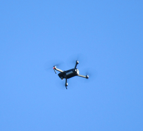 Joe's drone flying over the observing field