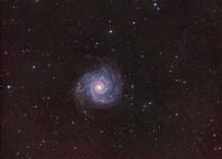 M74 "Grand Design" Galaxy in LHaRGB