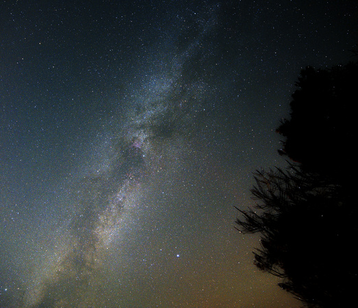 The Milky Way overhead