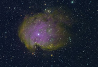 NGC 2174 Monkey Head Nebula in HSO