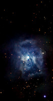 NGC 7023 (Iris nebula)