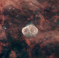 Crescent Nebula - NGC 6888