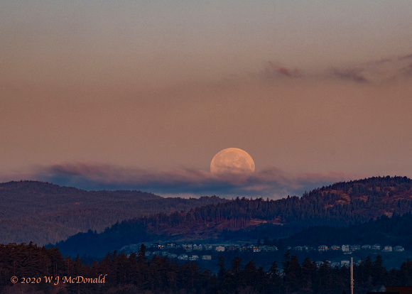 Moon Setting over Victoria on March 9, 2020