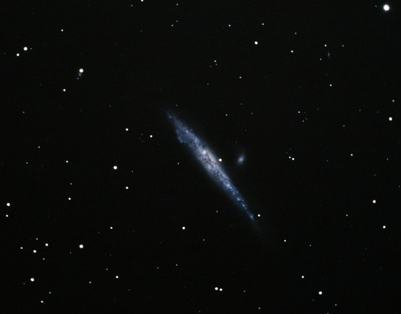 The Whale Galaxy (NGC 4631)