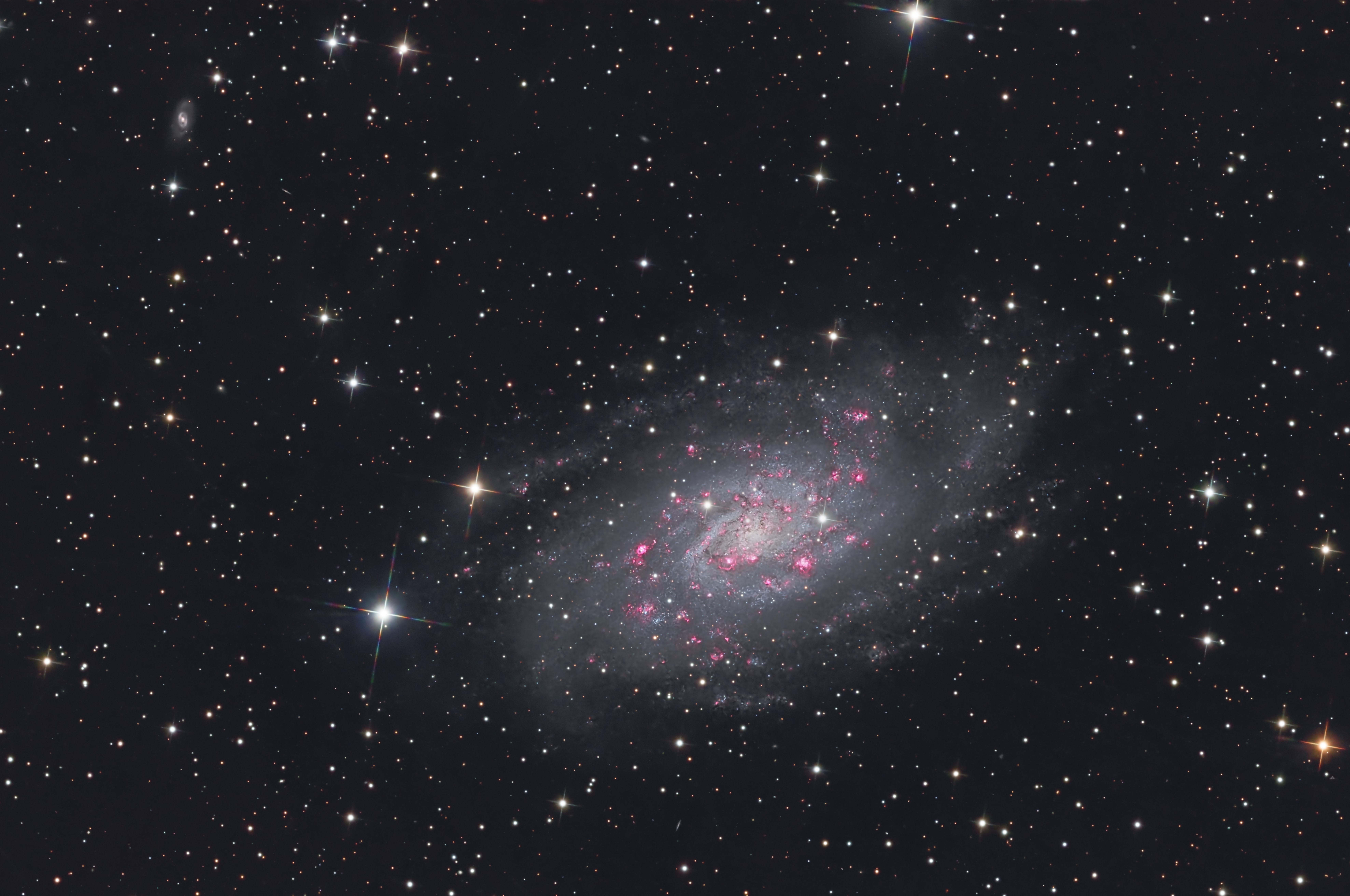 RASC Victoria Centre: Dave Payne &emdash; NGC2403 Galaxy in Camelopardis (LHaRGB)