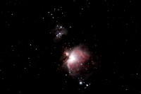 Great Orion Nebula (M42)