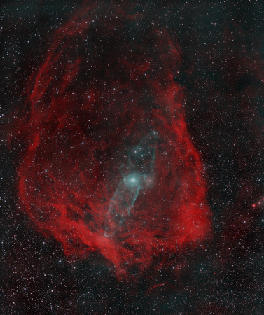 Giant Squid Nebula, Sh2-129