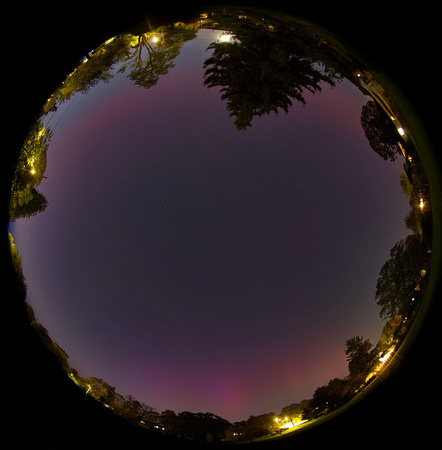 A whole sky fisheye view of the aurora from a local park above the city