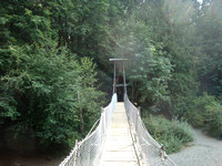 A cool suspension bridge, across the Koksilah River
