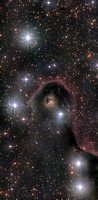 IC 1396 - the Elephant's Trunk Nebula