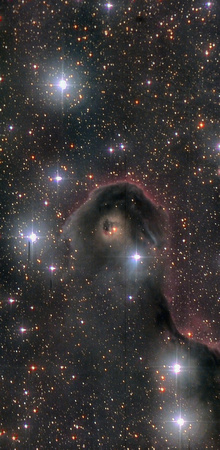 IC 1396 - the Elephant's Trunk Nebula
